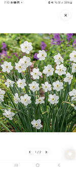 Snowflake Long Sleeve Top